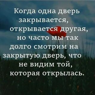 Цитата гласит