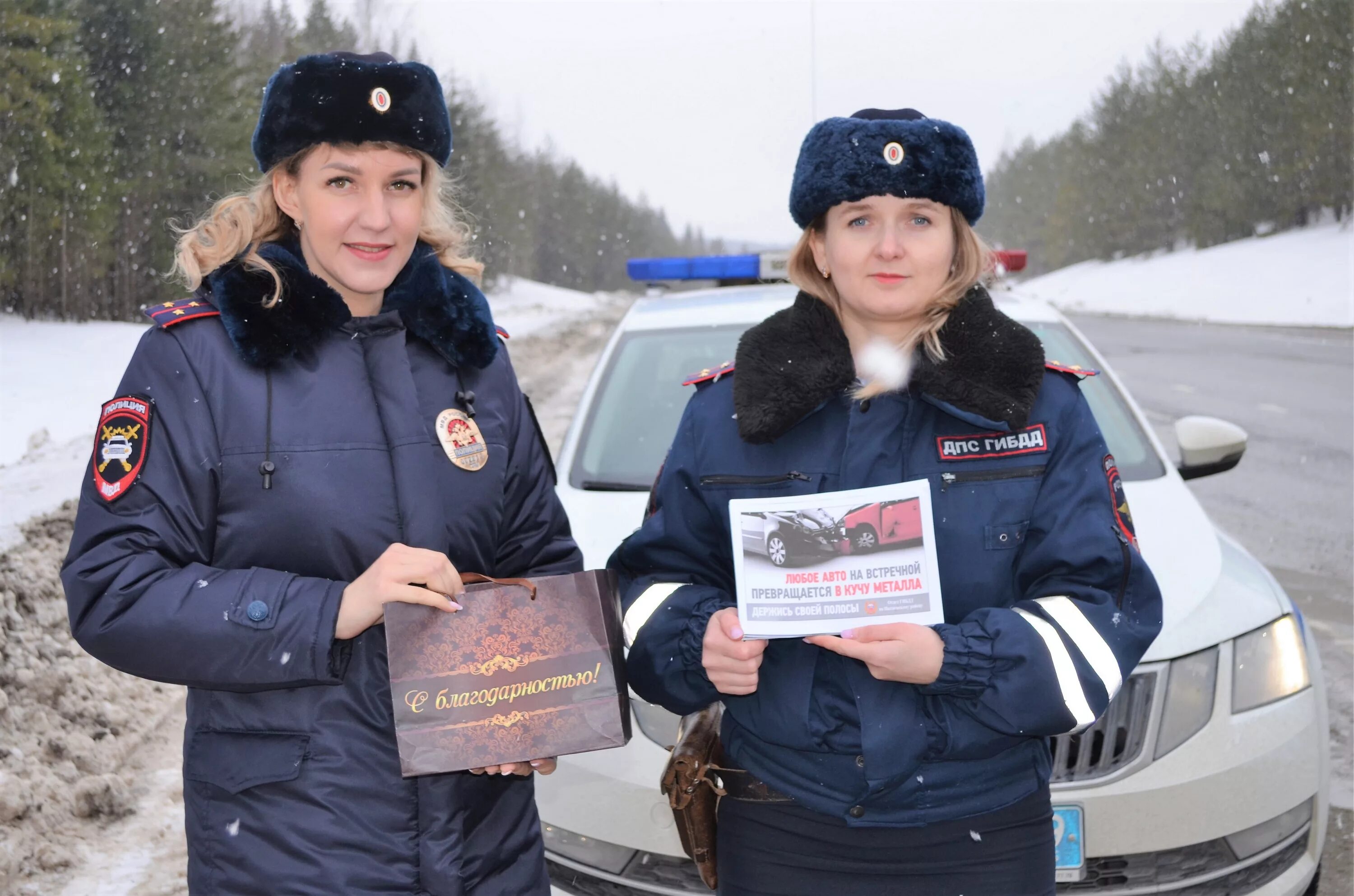 Сайт гибдд пермской. ДПС Пермский край. ГИБДД Пермь. ГИБДД Пермского района. Госавтоинспекция Пермского края.