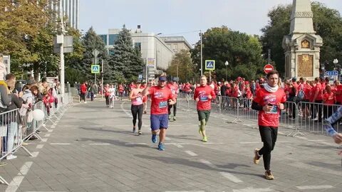 Новости краснодара за сутки