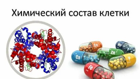 Химические вещества в организме