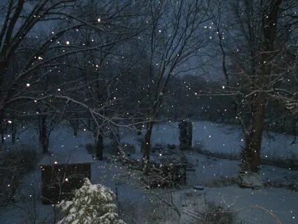 Темно зимний
