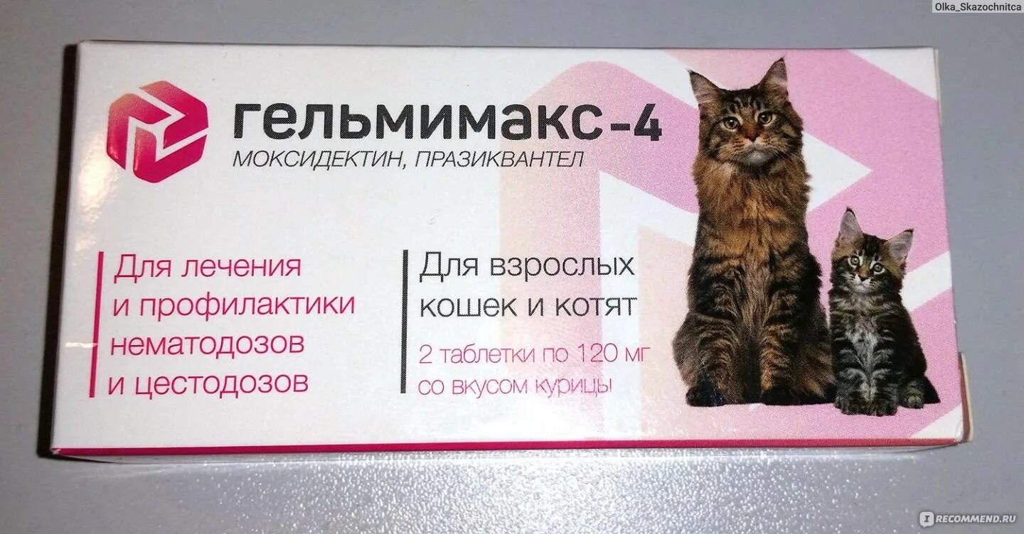 Гельмимакс для кошек купить. Гельмимакс-4 для кошек и котят. Гельмимакс таблетки для кошек. Гельмимакс 10 таблетки для кошек. Гельмимакс для котят.