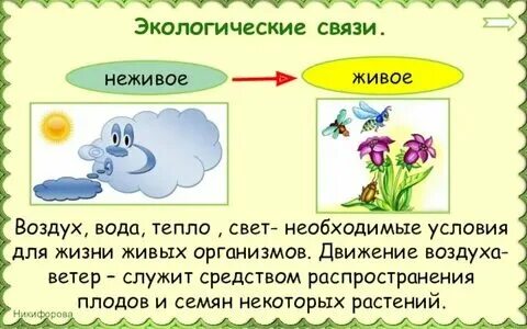 Два примера экологических связей Составьте схемы цепей питания характерных для луга
