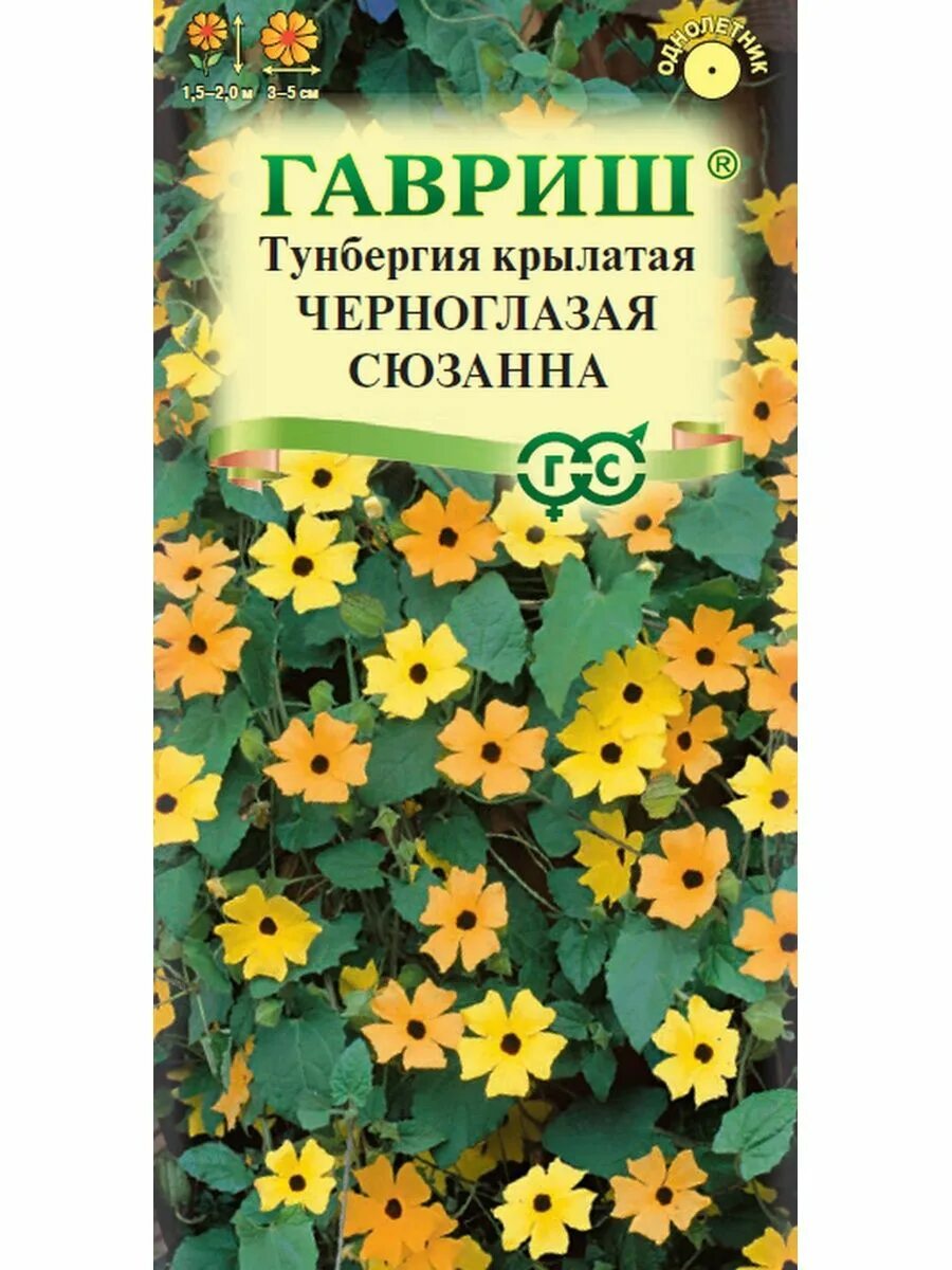 Тунбергия лавролистная. Тунбергия Крылатая Черноглазая Сюзанна. Тунбергия Черноглазая Сюзанна 0,3 г. Тунбергия крылатая семена