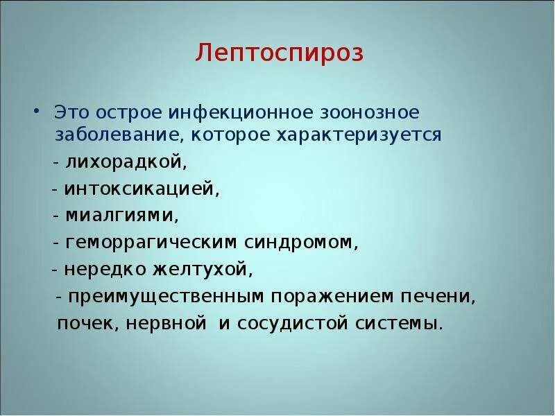 Признаки лептоспироза. Лептоспироз эпидемиология.