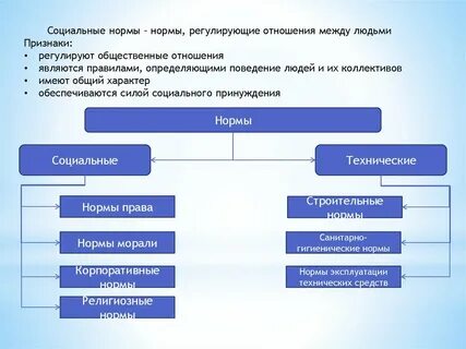В социальных группах отношения регулируются определенными правилами