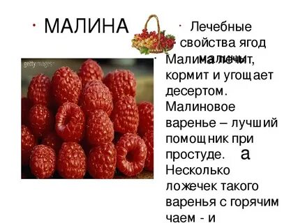 Можно ягоды при грудном вскармливании
