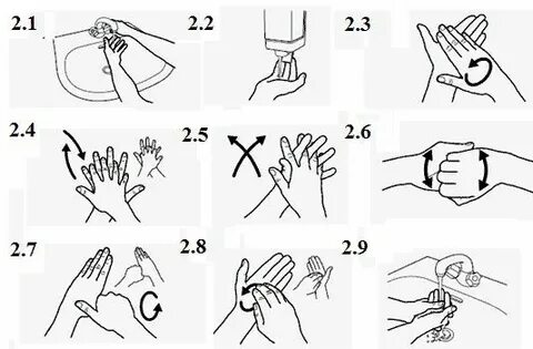 Қоғамдық көлікте балапан сиып жатыр