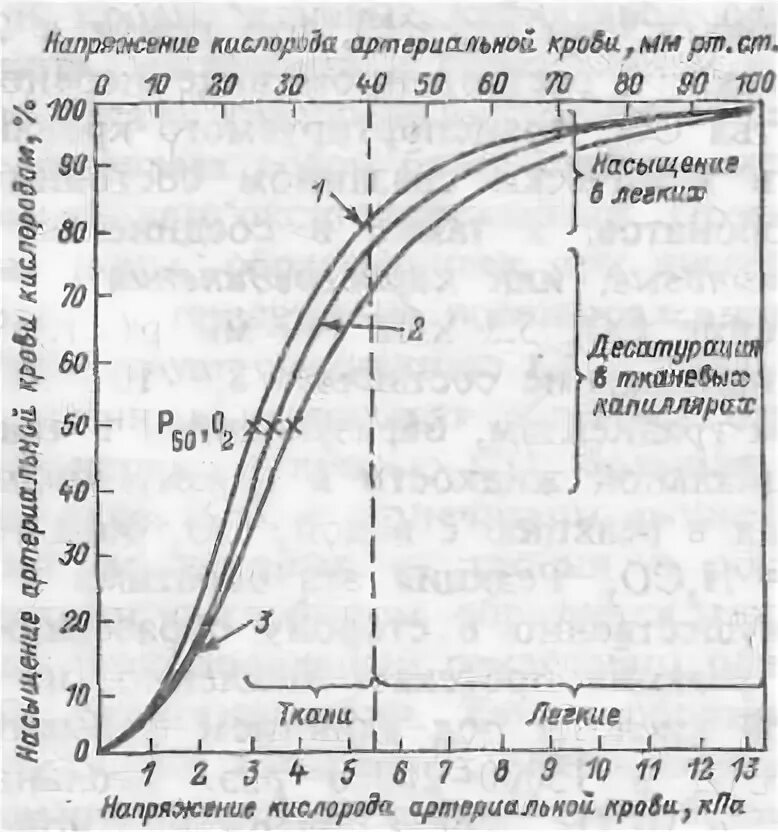 График насыщения гемоглобина кислородом. Насыщение легких кислородом. Насыщение гемоглобина крови кислородом. Кривая насыщения гемоглобина кислородом.