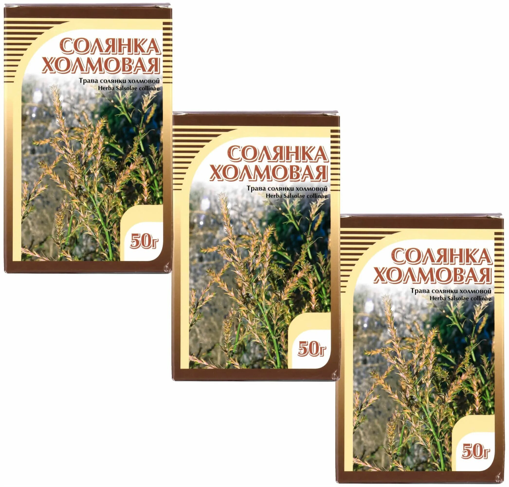 холмовая трава. экстракт травы солянки холмовой. солянка холмовая трава напиток чайный биолит. солянка холмовая natural 50г камелия. трава солянка холмовая лечебные.