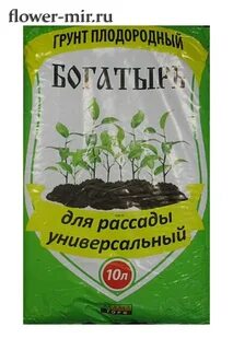 Богатырь для рассады