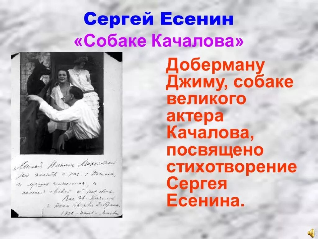 Стихотворение дай лапу. Джим стихотворение Есенина. Стихотворение Есенина собаке Качалова. Ясение сабаки Качалова.