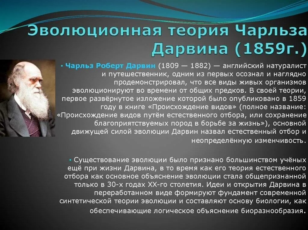 Теория естественного развития. Эволюционная теория Чарльза Дарвина. Эволюционное учение Дарвина 1859.