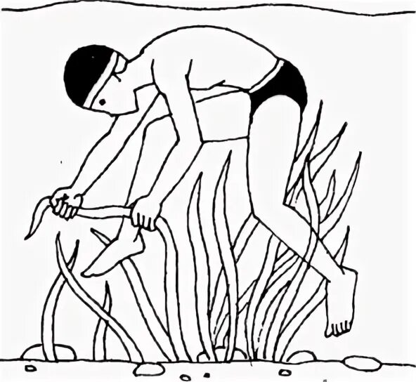 Водоросли запутались в. Плавание в водорослях. Человек запутался в водорослях. Ноги запутались в водорослях. Запутать в водорослях.