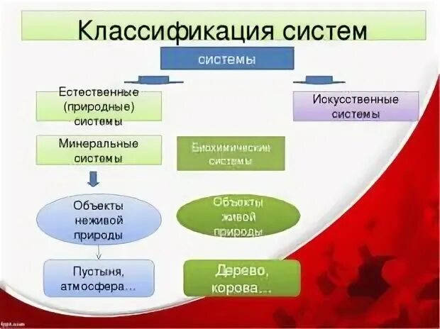 Укажите пример естественной системы