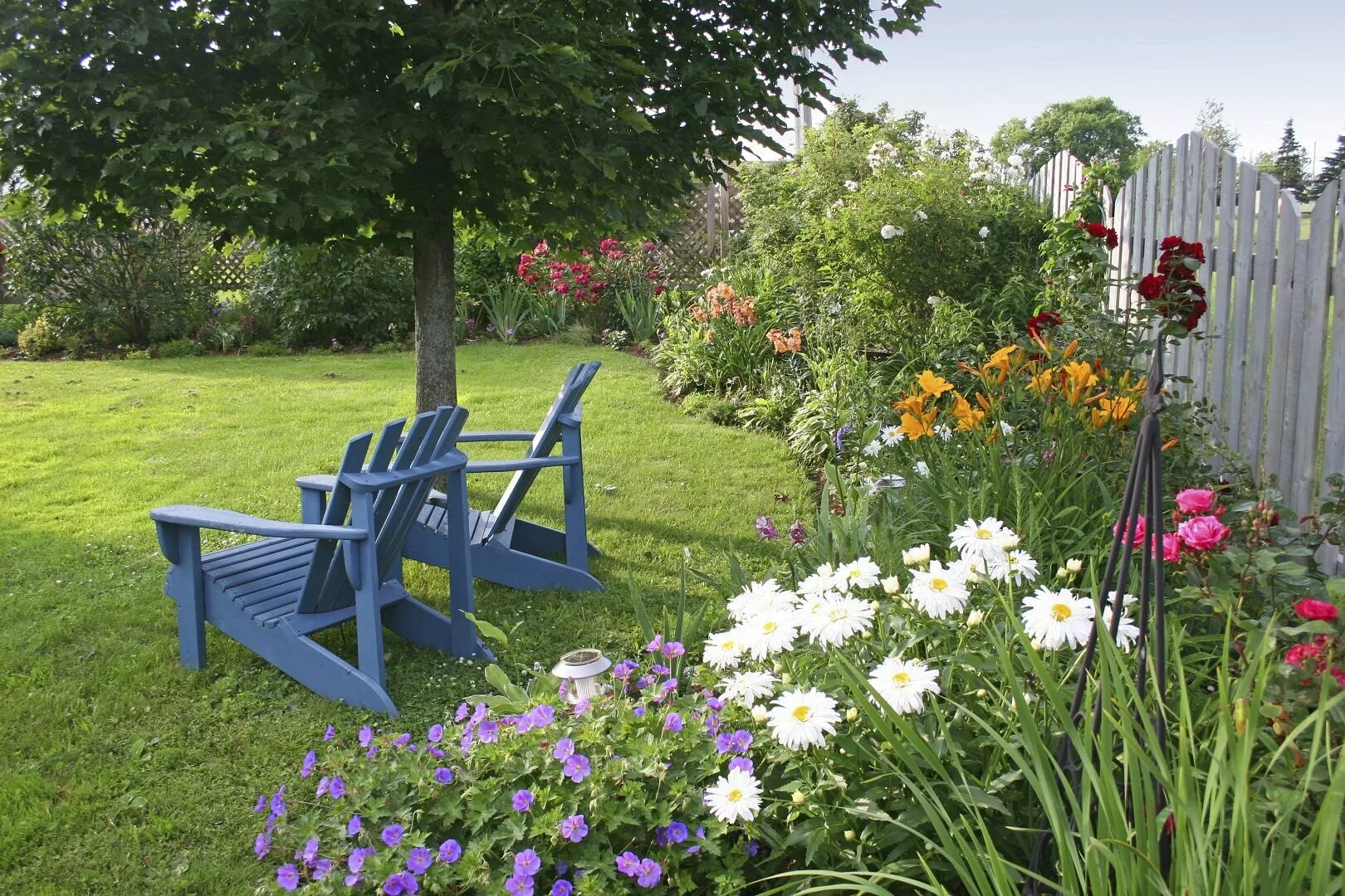 Walsall-garden англия. Красивые клумбы с цветами. Садовые клумбы. Бузульник хоста астильба. Любили садовые.