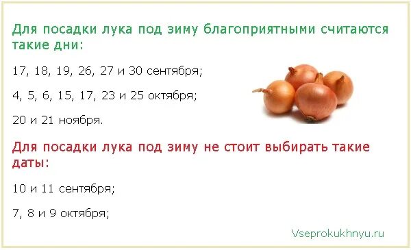 В мае какого числа можно сажать лук. Лук дата посадки. благоприятные дни для посадки чеснока.