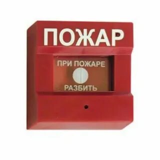 Пам 3 1