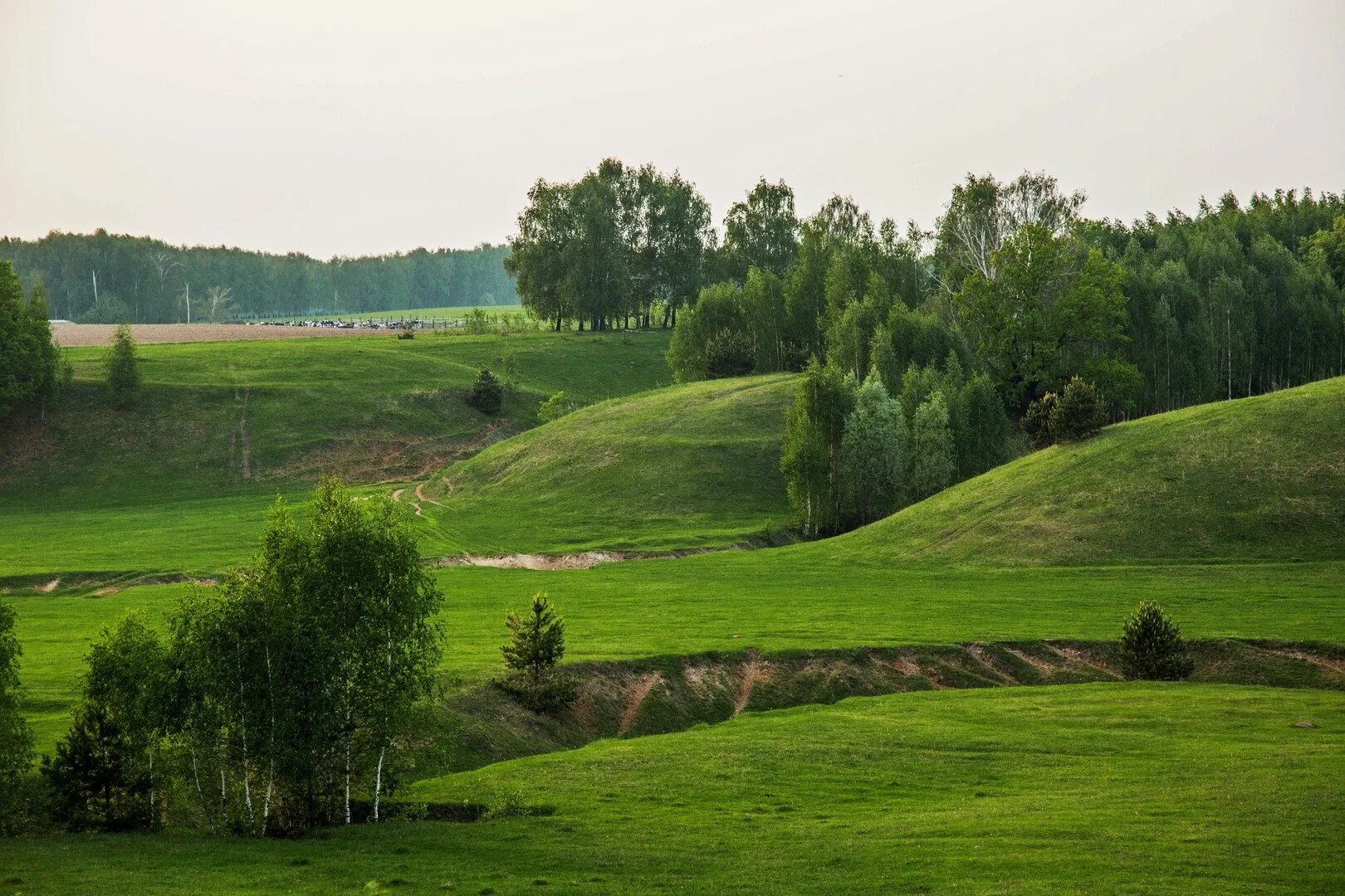Под косогор. Косогоры пейзаж. Под косогор. Кто такой косогор. Под косогор.