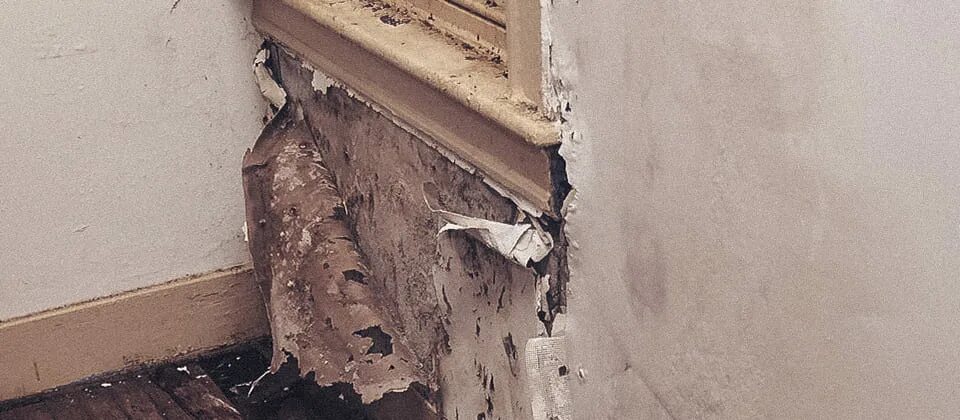 Почему сыреют полы. Почему сыреют полы