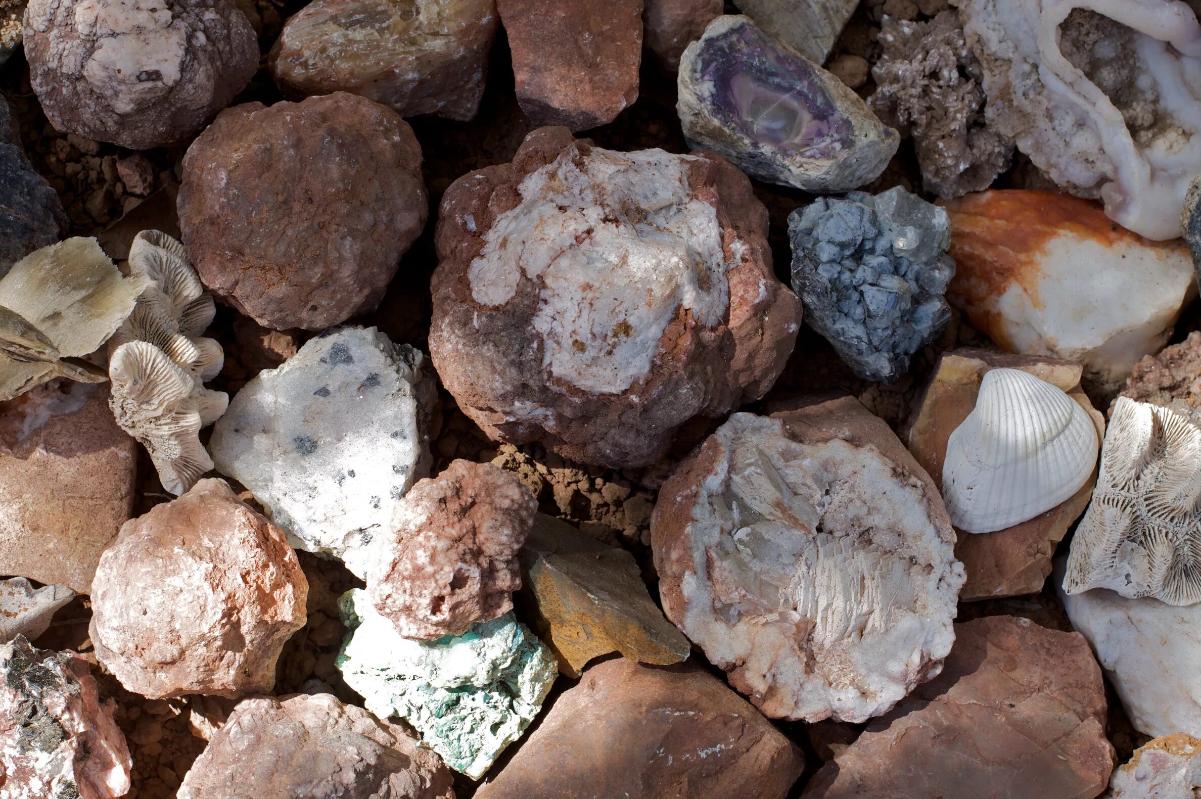 Какая порода камня. Горные породы. Геология камни. Горные породы камней. Виды камней в природе.