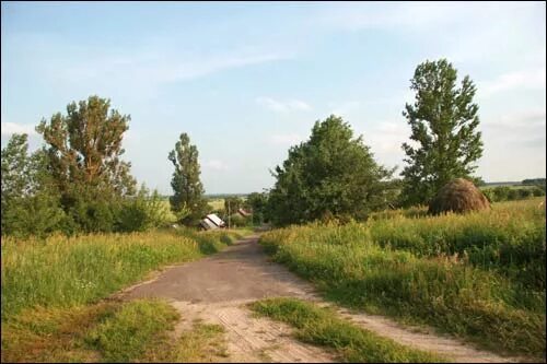 Село стайки киевская область. Село стайки. Село стайки. Село стайки киевская область. Село стайки киевская область.