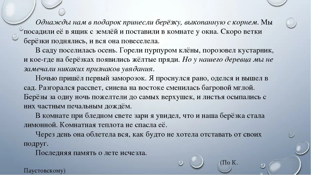 Однажды нам в подарок принесли березку. Однажды нам в подарок принесли березку выкопанную с корнем. Диктант однажды нам в подарок принесли березку. Однажды нам в подарок принесли березку выкопанную с корнем диктант.