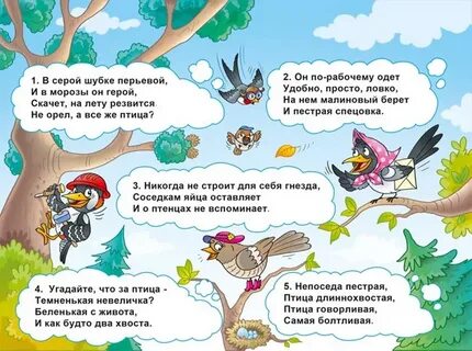 Загадки про птиц 4 5 лет