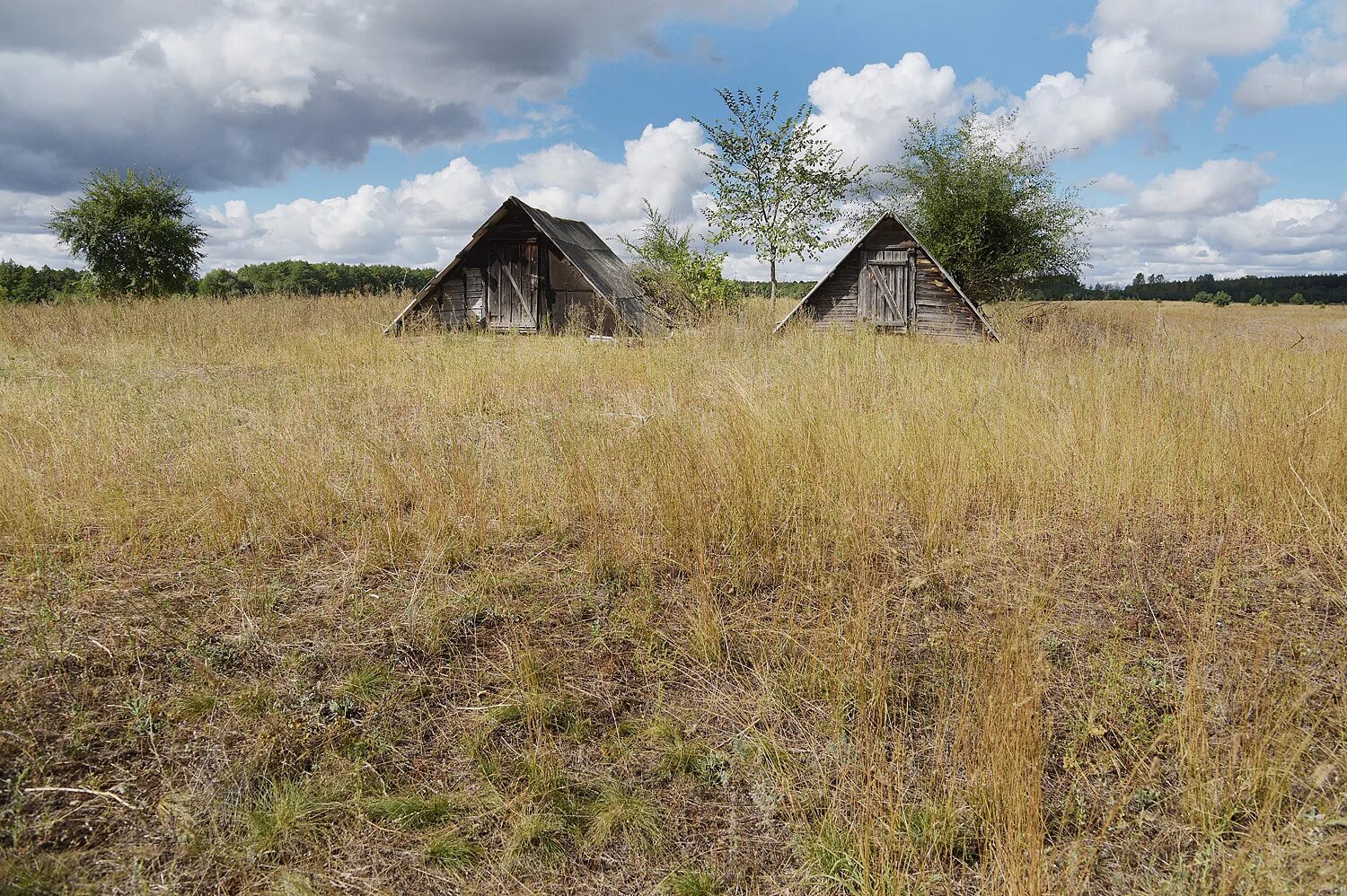 Village воронеж. Заброшенные хутора Воронежской области. Заброшенные деревни Воронежской области Верхнехавского района. Вымирающие деревни Воронежской области.