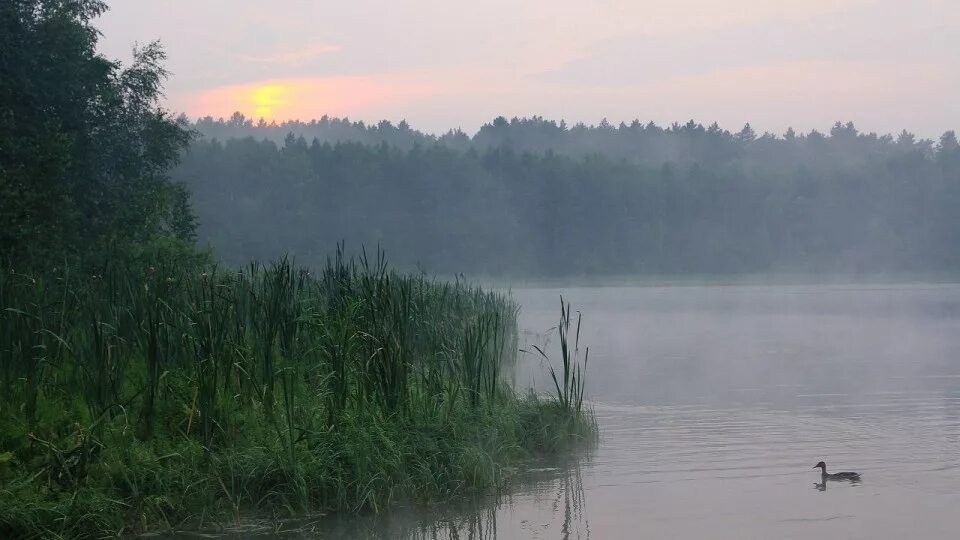 Пять озёр Омская область Линево. Озеро Линево Омск. Муромцево озеро Линево. Ленево пять озер Муромцево.