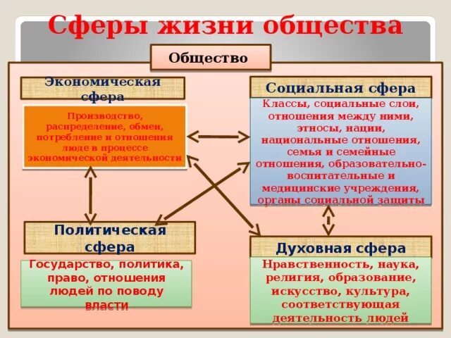 Социальное общество это в обществознании. Социальная сфера жизни общества. Сферы общества Обществознание. Политическая сфера жизни общества. Социальная сфера Обществознание.