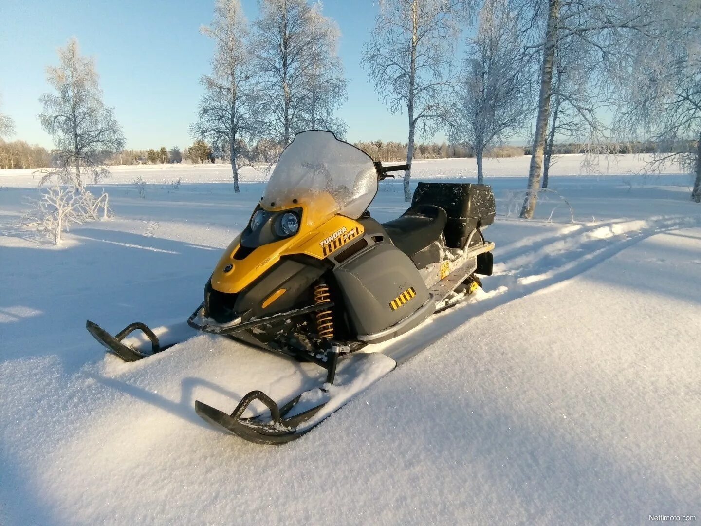 Ski Doo Tundra 300. Ski-Doo Tundra 300f. Снегоход Ski Doo Tundra 300. Скандик тундра 300 снегоход.