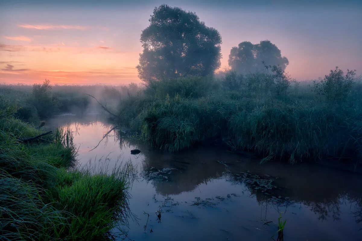 пруд бочага. водоем бочаг. болотный бочаг. святой бочаг кострома. бочаг.