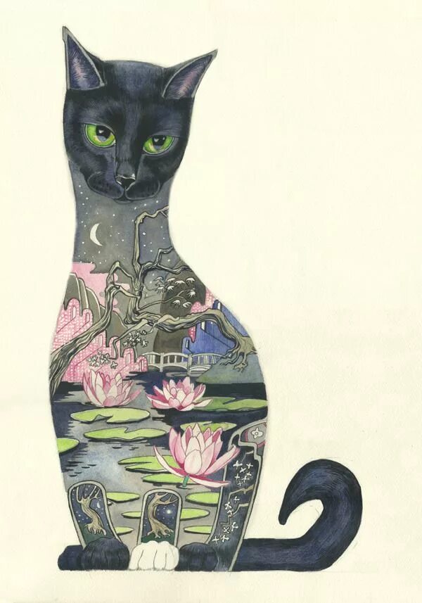 Cat dan