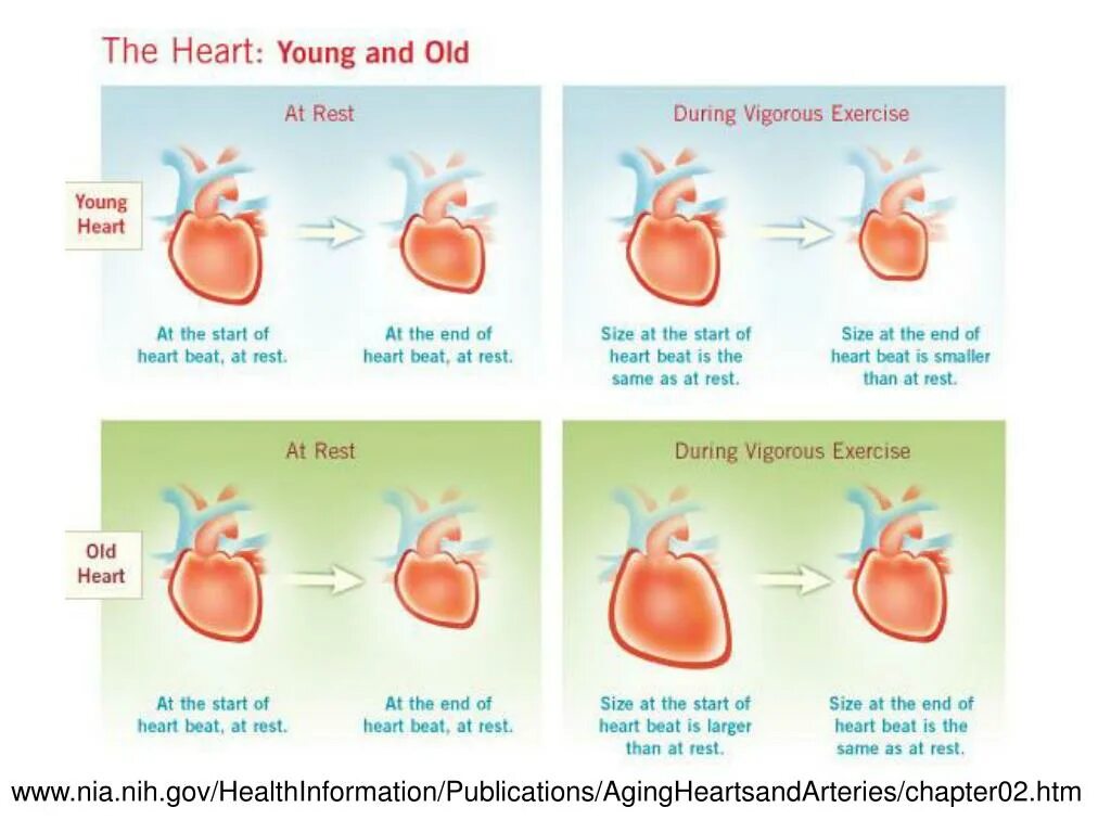 Drake views альбом. Quotes about restaurants. Nwts drake. Rest the same. Drake nothing was the same album cover.