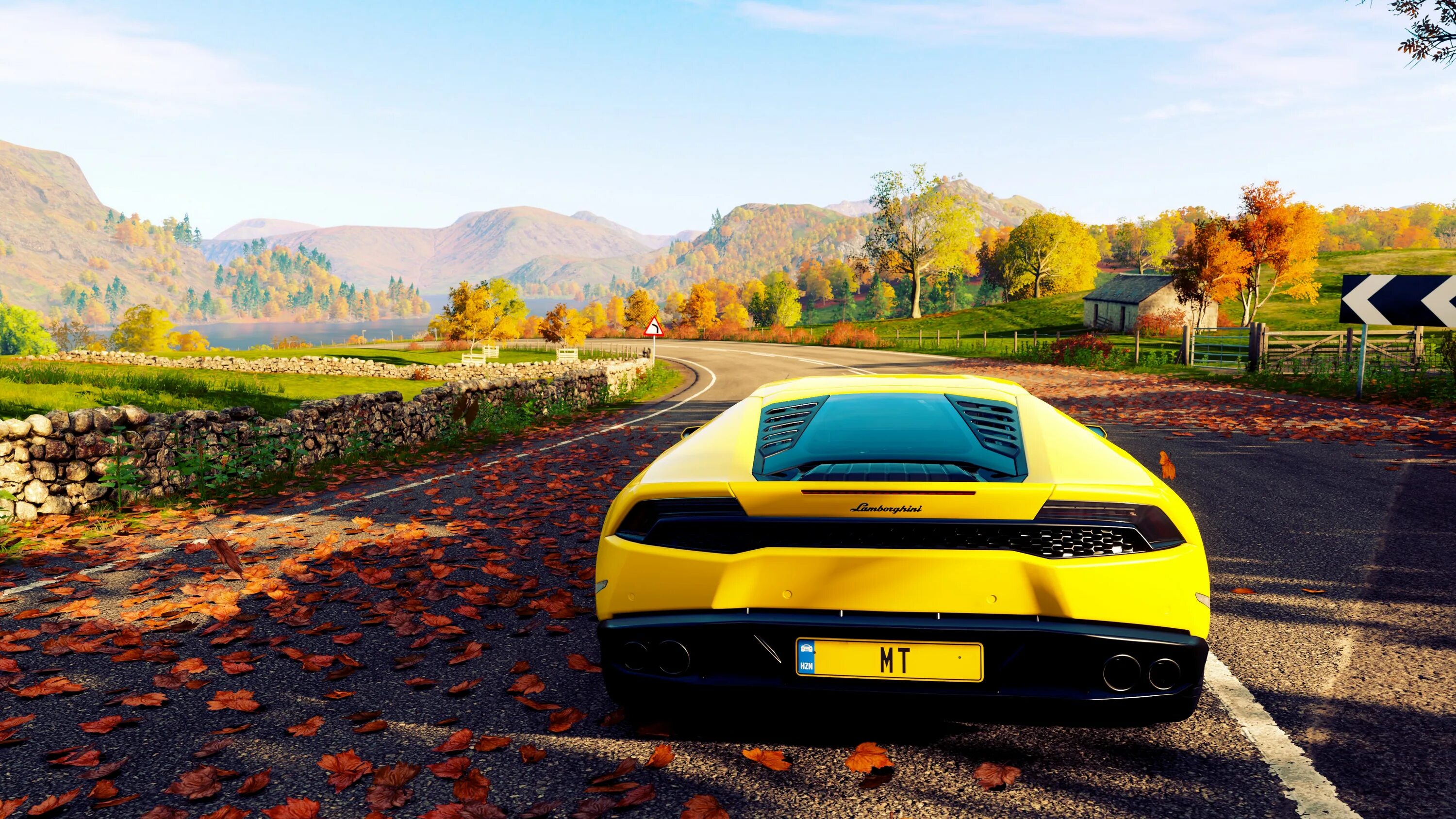 Forza horizon купить стим. Форза Хоризон 4. Форза хорайзон 5 4к. Forza Horizon 4 4k. Forza Horizon 5 фоторежим.