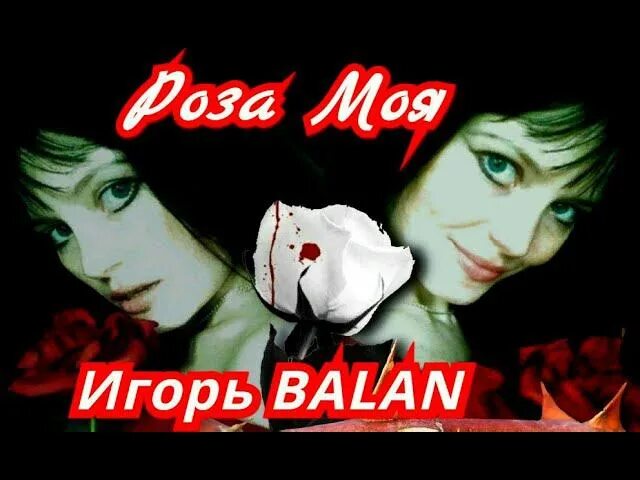 Группа розы мое. Группа розы мое