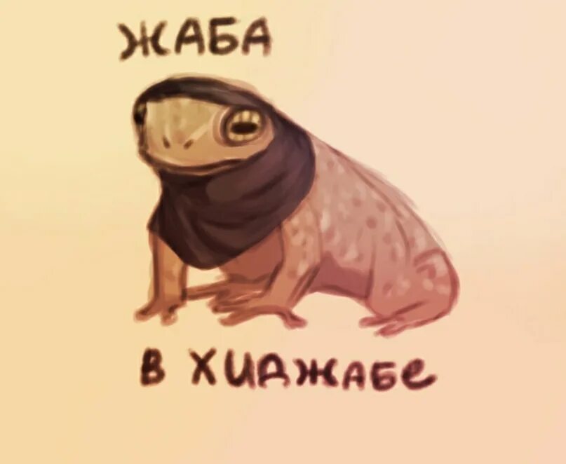 Бог лягушек. Жаба в парандже. жаба в хиджабе мем. дальше бога нет жаба. мем дальше бога нет с жабой.
