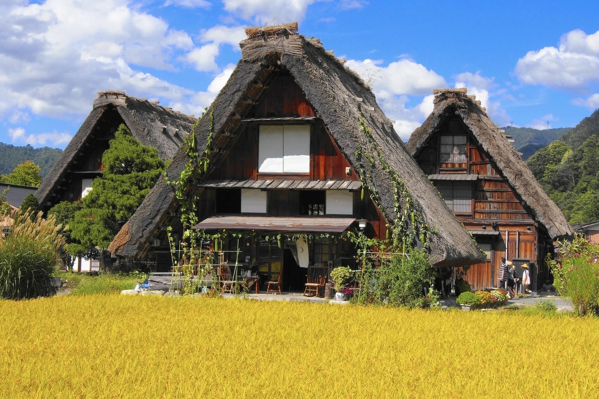 Japanese village. Традиционное жилище Японии Минка. Минка японский дом. Сиракава-го и Гокаяма. Минка деревенский дом в Японии.