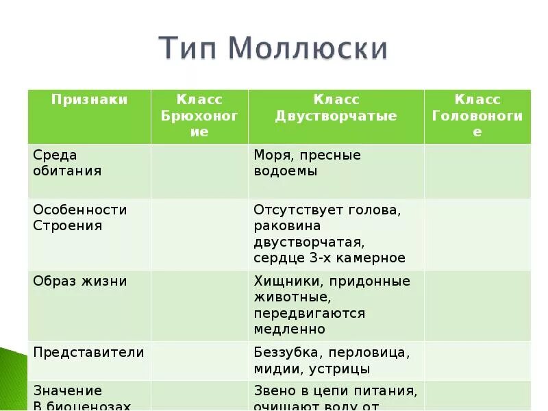 Значение class. Значение в природе и для человека головоногих моллюсков таблица. Значение класса брюхоногие моллюски таблица. Сравнительная характеристика классов моллюсков таблица 7. Класс головоногие среда обитания.