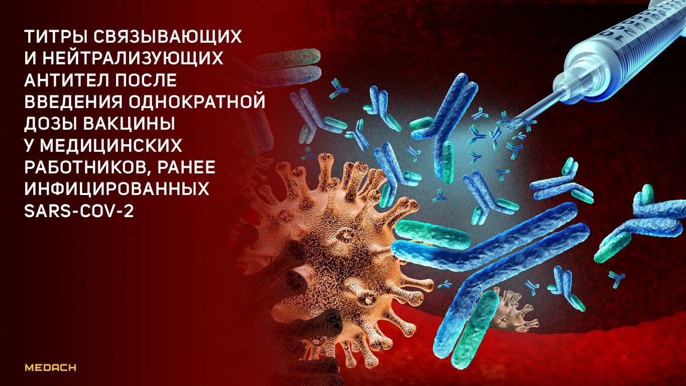 Иммунные антитела 1 4. Нейтрализация антител. Нейтрализующие антитела. Нейтрализующие и связывающие антитела. Нейтрализация вирусов антителами.