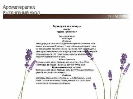 Лаванда текст