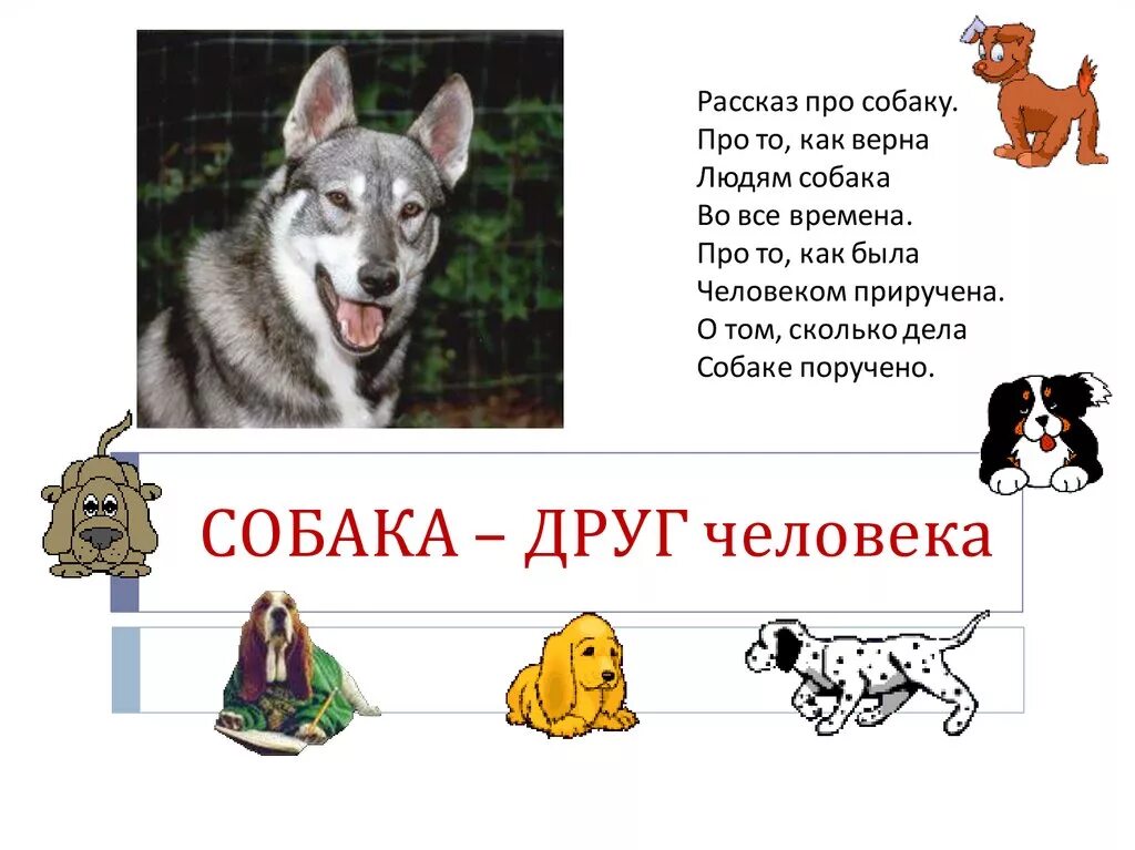 Описание собаки 5 класс русский язык. Рассказ о собаке. Небольшой рассказ о собаке. Рассказы про собак для детей. Рассказать детям о собаках.
