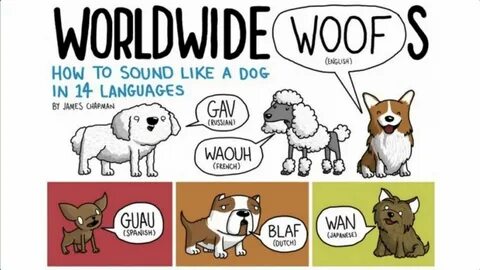How dog
