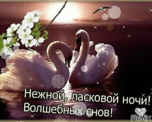 Доброй ласковой ночи. Сказочных снов любимая. Самой нежной ночи мой нежный. Романтических снов. Нежной ночи картинки.