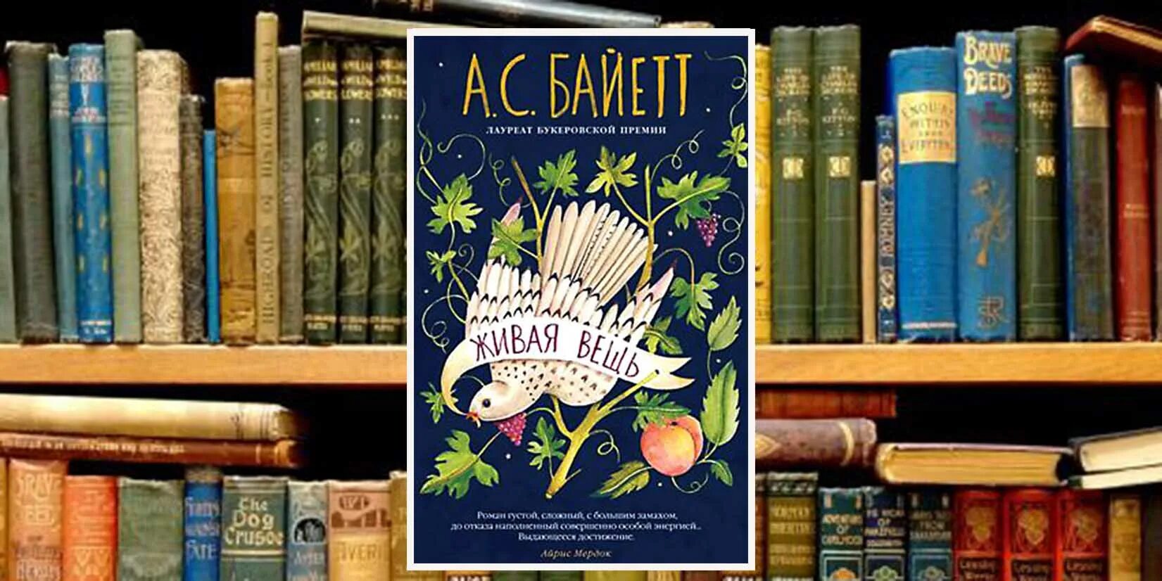 Книжный клуб. Книжный клуб фото. Книжный клуб. Встреча книжного клуба. Книжная встреча.