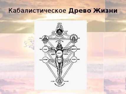Древо жизни васильевский