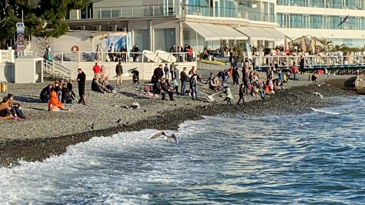 Погода в сочи 20 апреля. Сочи в январе. Сочи море январь. Море каждый день Сочи. Сочи в январе фото.