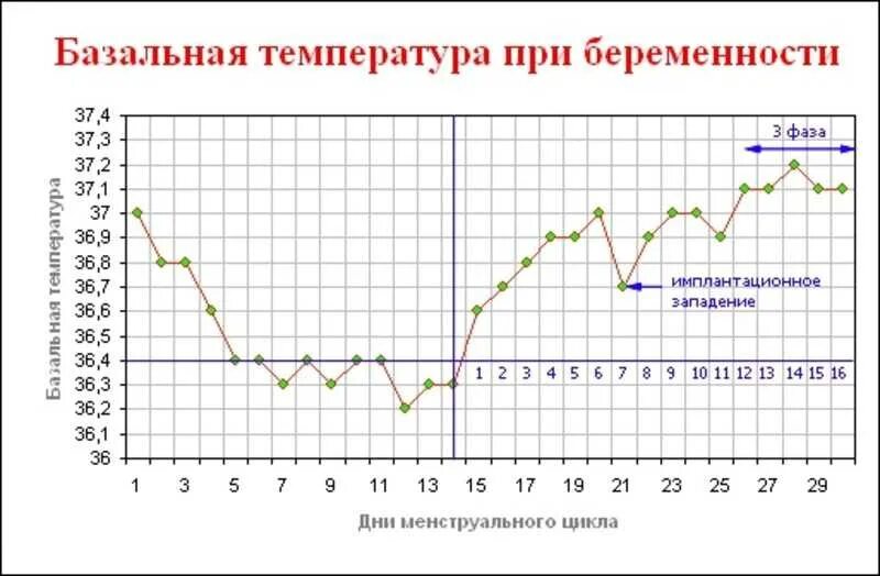 Температура после родов норма