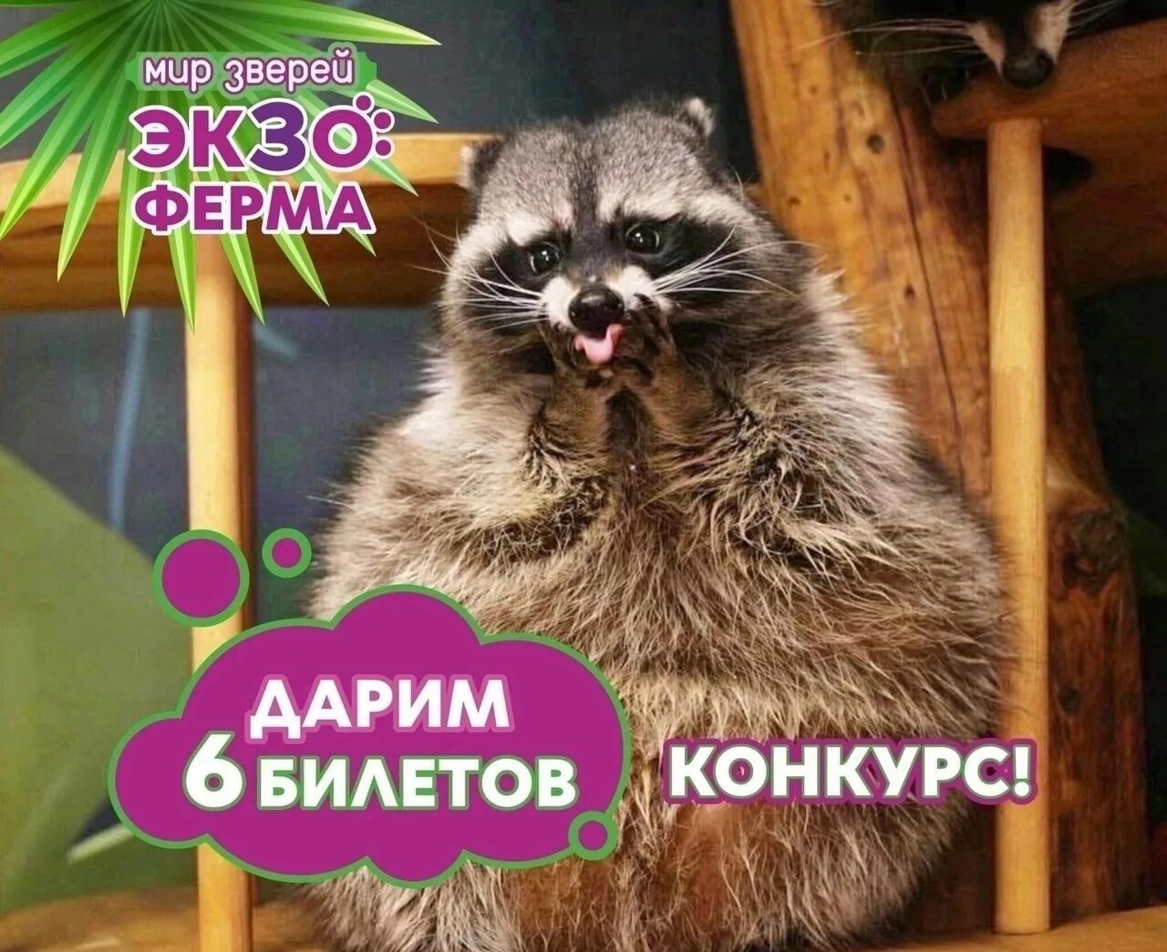 Экзоферма